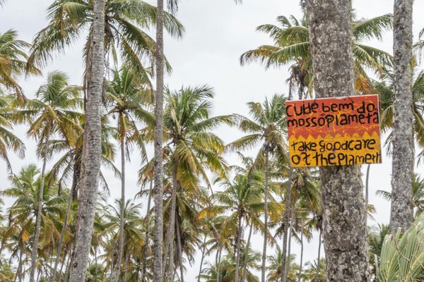 Tous les secrets du padel : actualités et compétitions à venir !