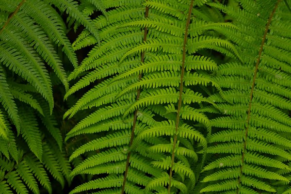 Découvrez le 9hotel chelton : votre hôtel 4 étoiles à bruxelles